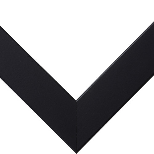 Wayfair Black Picture Frames You'll Love in 2023